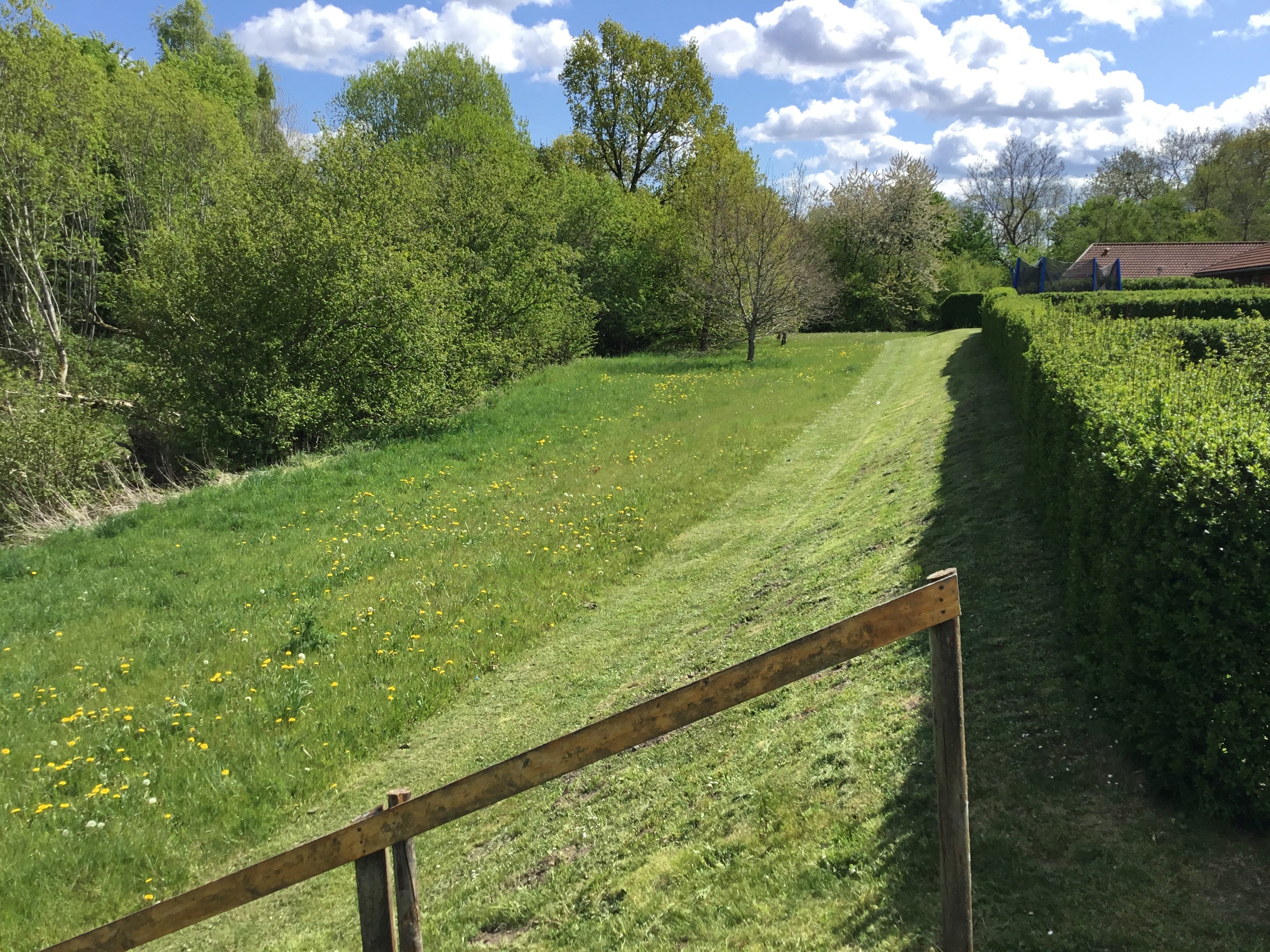 Kirkendrupmarken i Odense