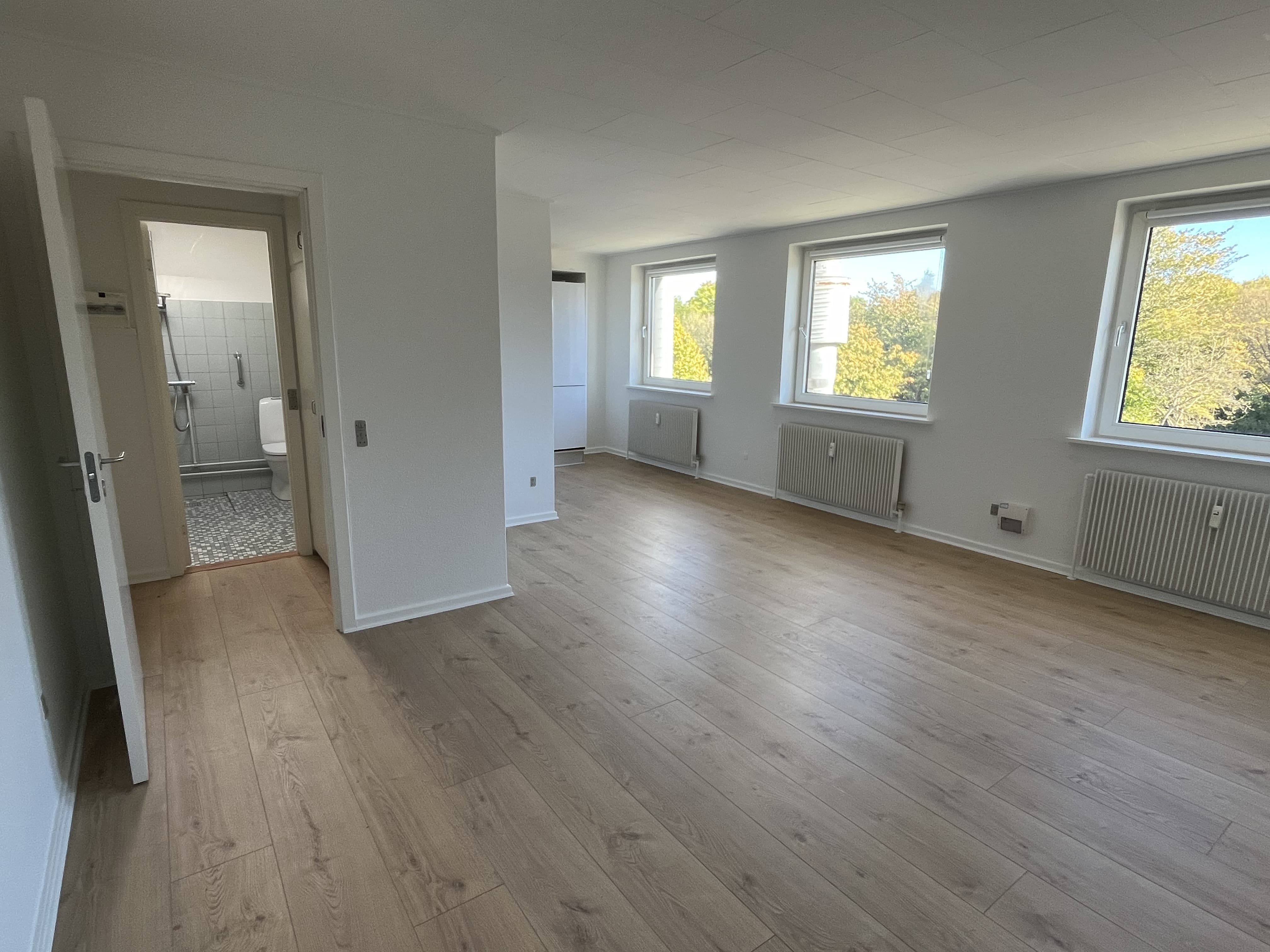 1 Værelses Lejlighed Beder (13)