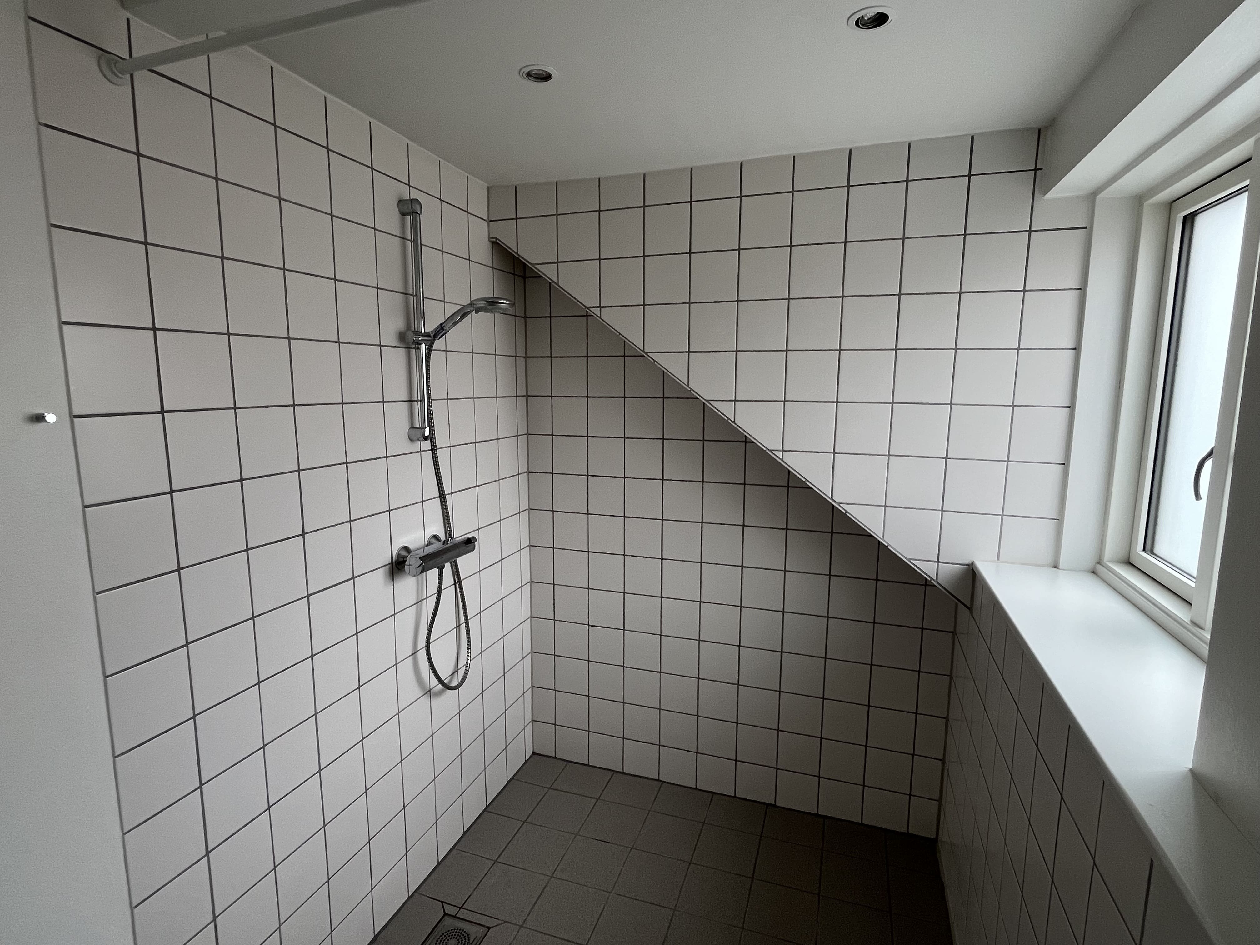 3 Værelses Aarhus C (10)