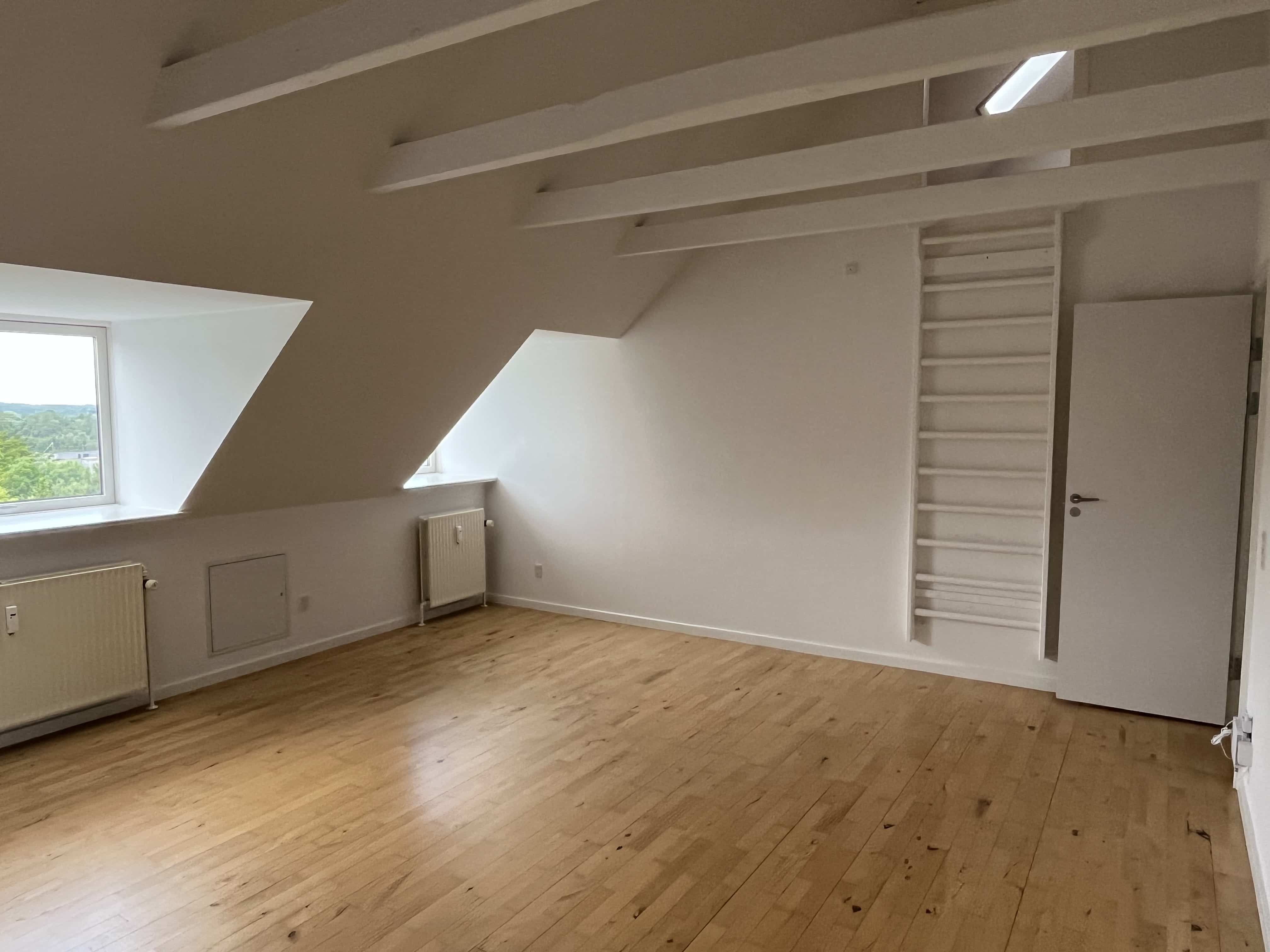 2 Værelses Taglejlighed Aarhus C (1)