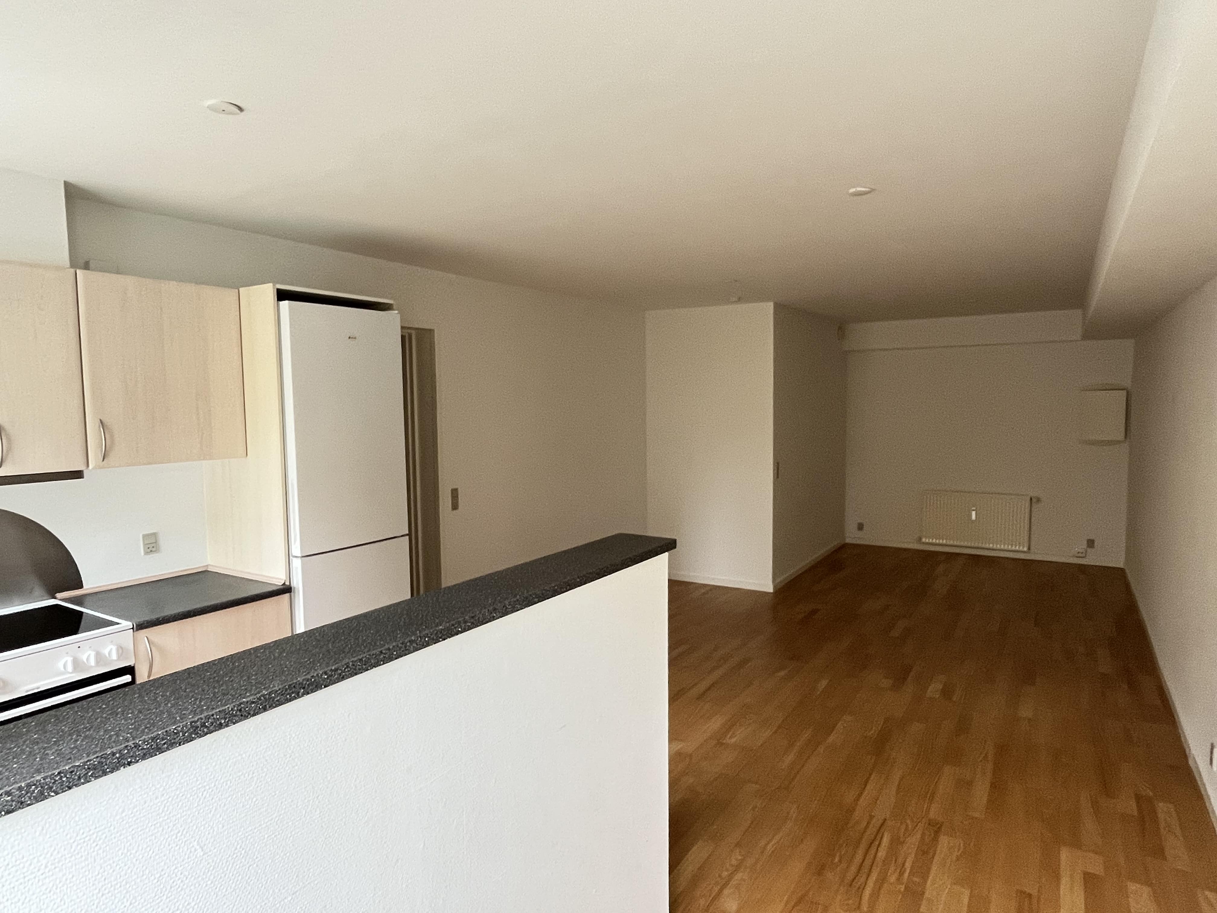 1 Værelses Aarhus N (1)