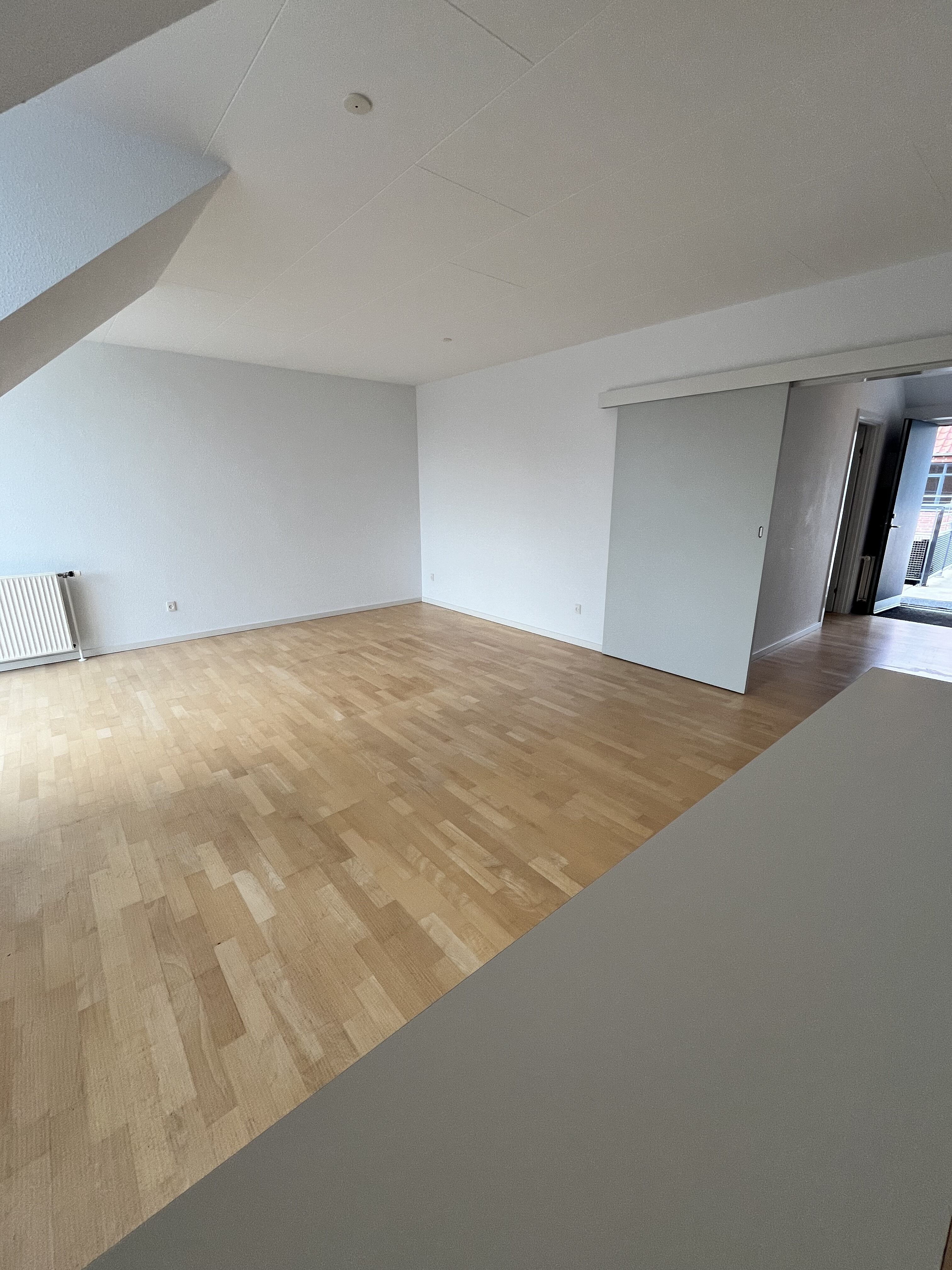 Lejlighed Silkeborg (10)