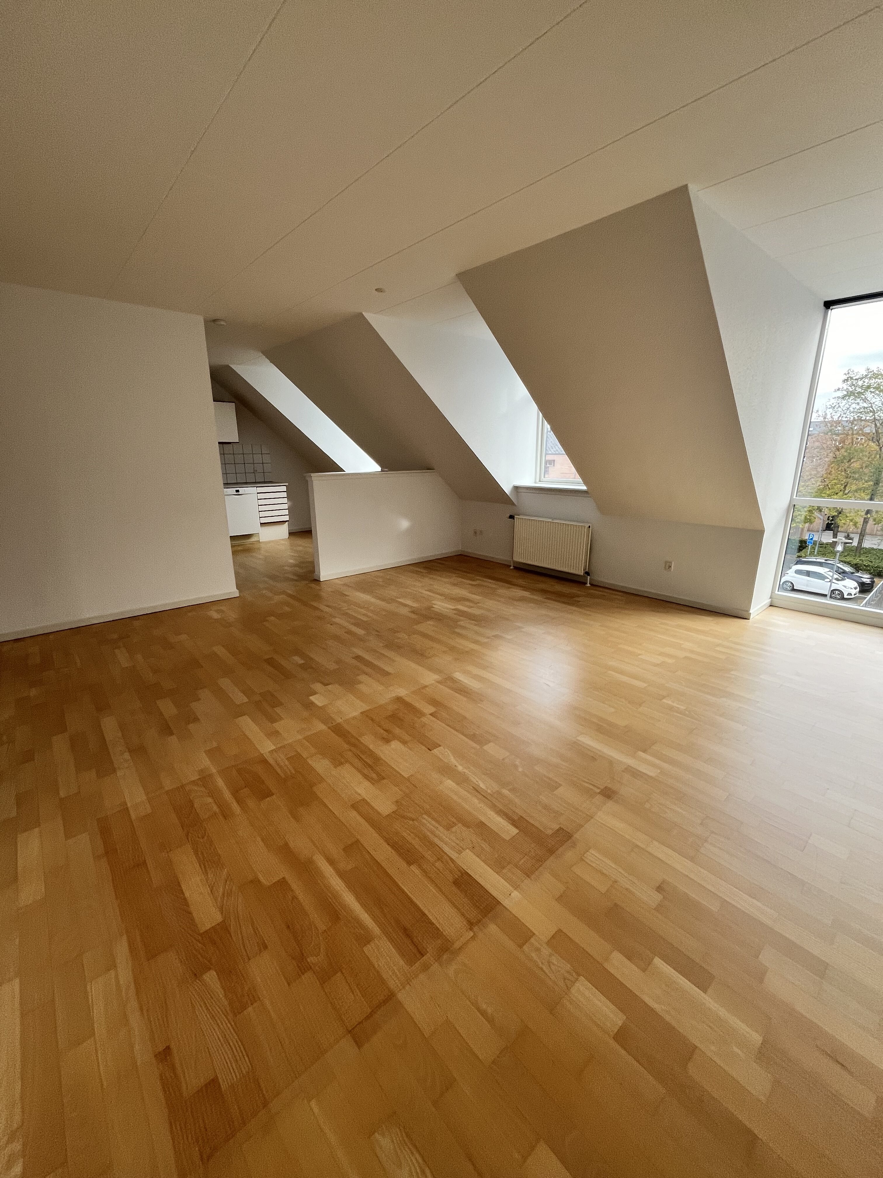 Lejlighed Silkeborg (7)