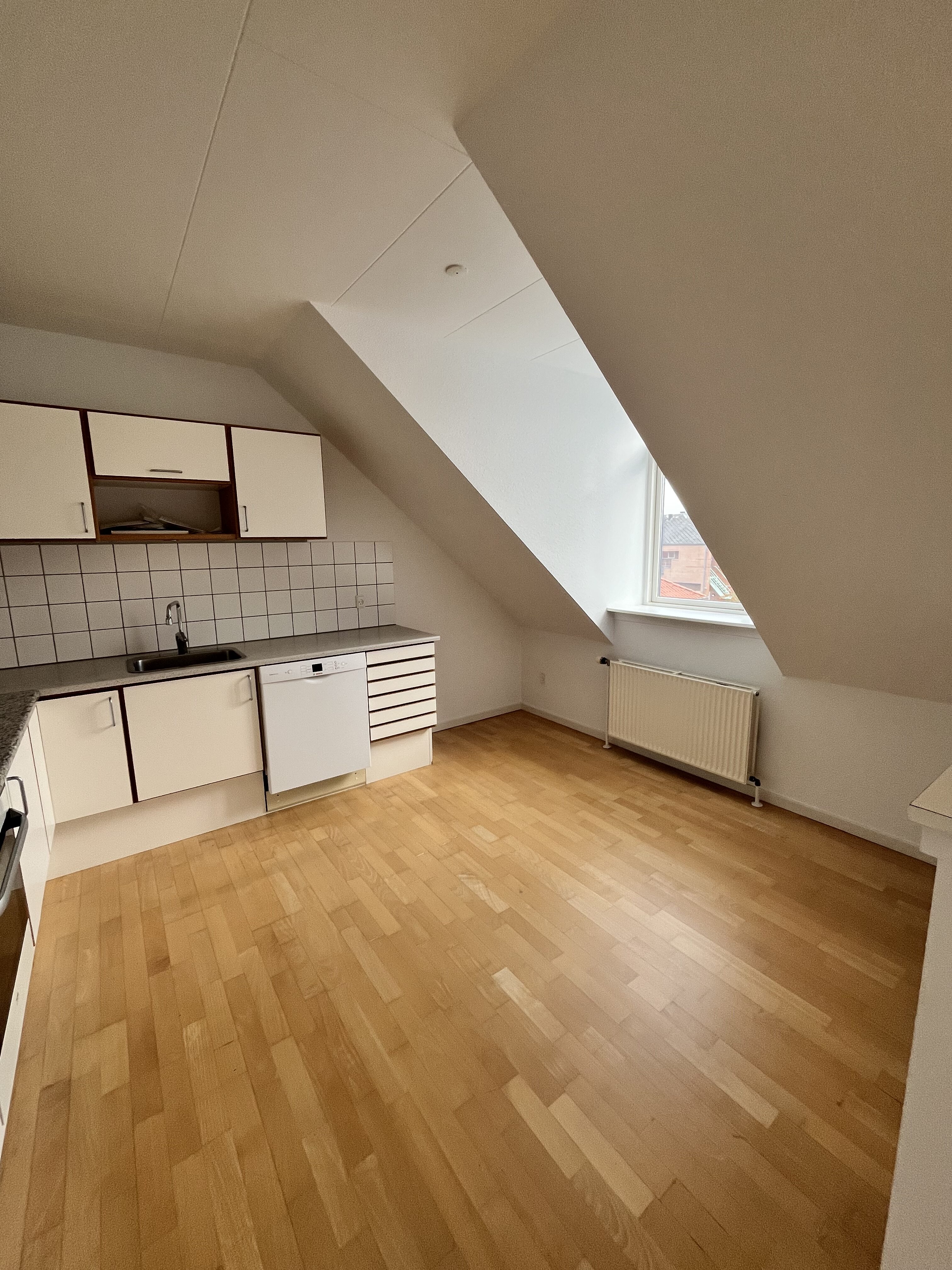 Lejlighed Silkeborg (9)