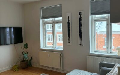 Schleppegrellsgade 6, 3.th. – 8000 Aarhus C