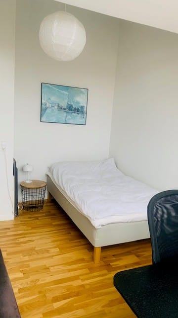 3 Værelses Aarhus C (10)