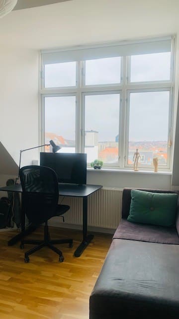 3 Værelses Aarhus C (9)