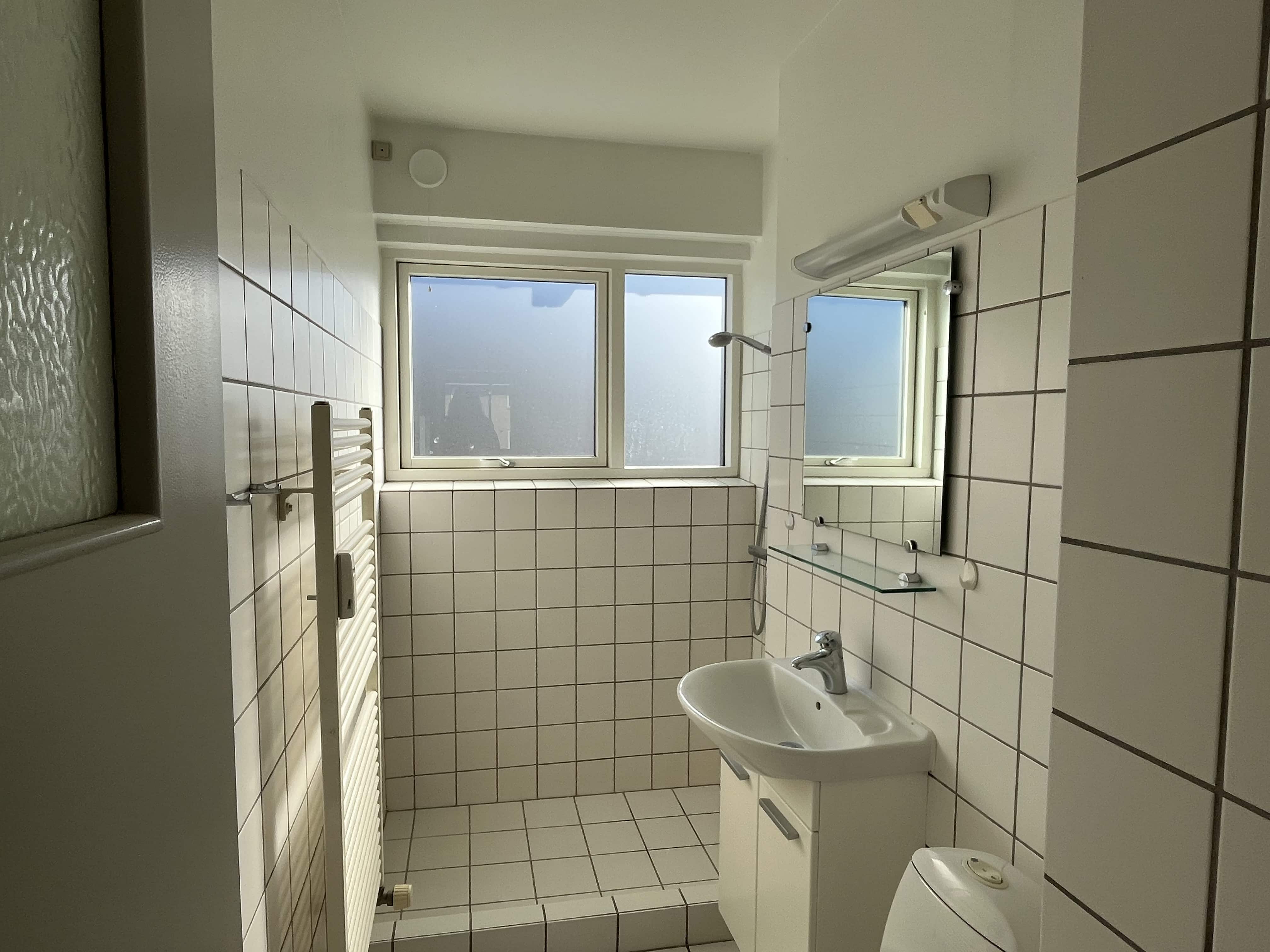 3 Værelses Aarhus C (13)
